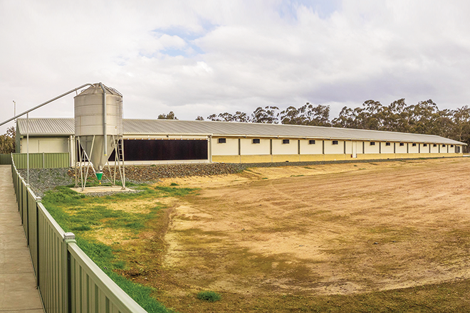 specialised breeders