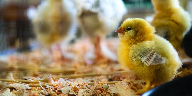 jason-leung-Gky4wYp9mvg-unsplash web