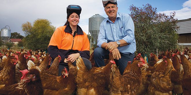 Jessica-Spencer-Dion-Andary-Days-Eggs-Australian-Eggs-VR_1