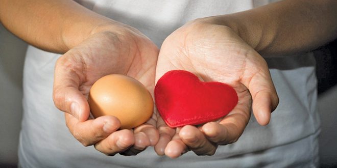cholesterol1