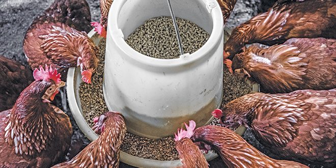 arisa-chattasa-mJ7ghTbKXYo-unsplash