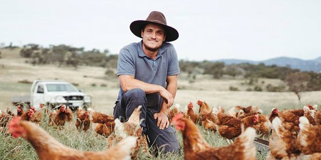 Screen-Shot-2022-01-05-at-2.55.31-pm-660px