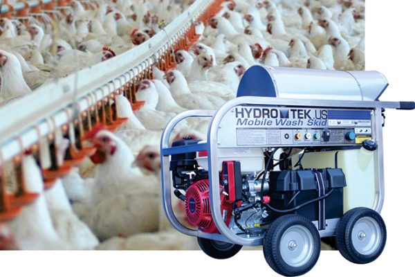 Chicked-shed-washdown-660px Aussie Pumps