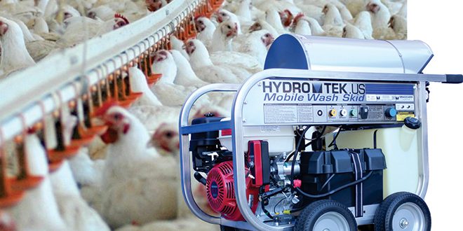Chicked-shed-washdown-660px Aussie Pumps