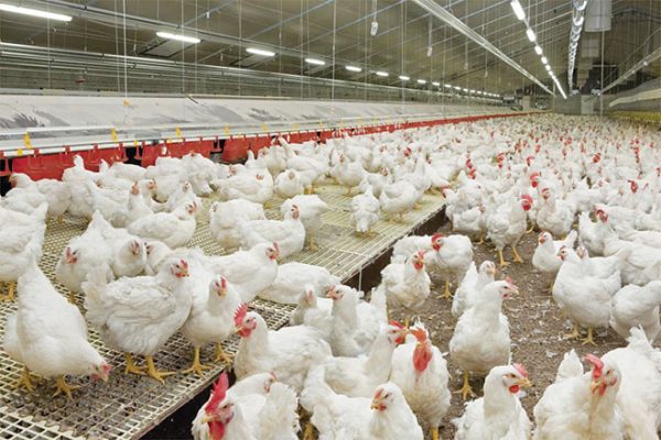 Responsible sourcing