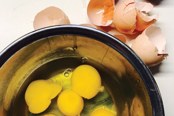 Benefits of egg yolks