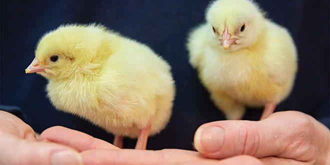 2.-Screen-Shot-2022-10-28-at-12.44.15-660px Materiality