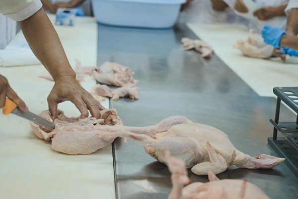 Photo-adobe-stock-88studio-660px Chicken Meat