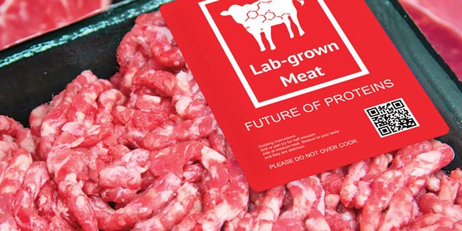 660px-1.-Screen-Shot-2023-03-21-at-4.41.38-am meat