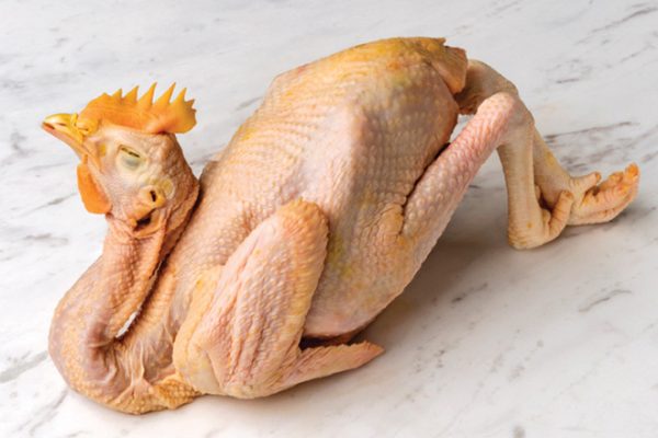 660px-2.-Screenshot-2023-06-21-at-1.45.33-pm Specialty