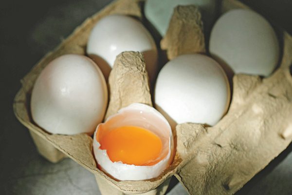 660px-2.-pexels-klaus-nielsen-6294256 guidelines