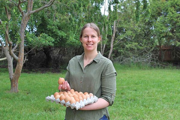 660px-1.-Screenshot-2023-06-14-at-10.33.36-am waste