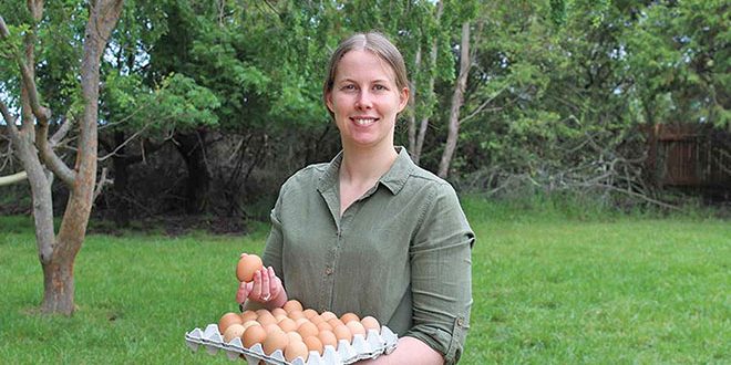 660px-1.-Screenshot-2023-06-14-at-10.33.36-am waste