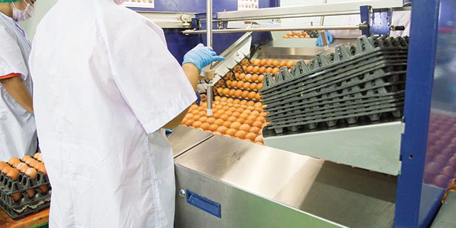 660px-2.-Photo-adobe-stock-janonkas industry