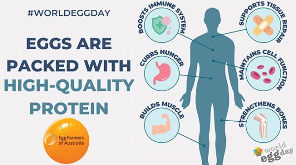 660px-2.-World-Egg-Day-Tile-EFA googy