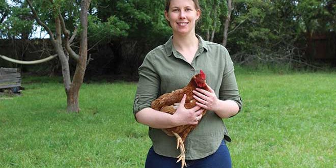 660px-6.-Moss-3 laying hens