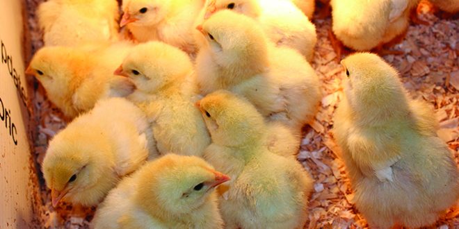 1. Screenshot 2023-02-22 at 9.49.36 am