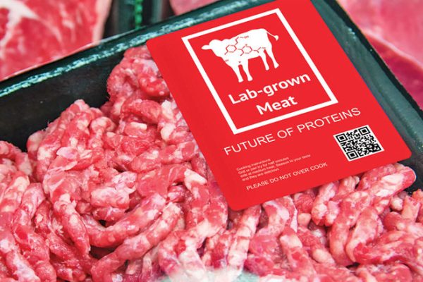 660px-1.-Screen-Shot-2023-03-21-at-4.41.38-am meat