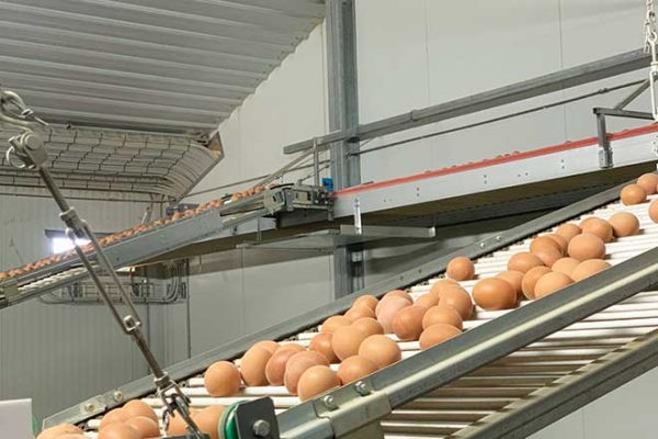 660px-1.-Australian-egg-production-facility-NSW biosecurity