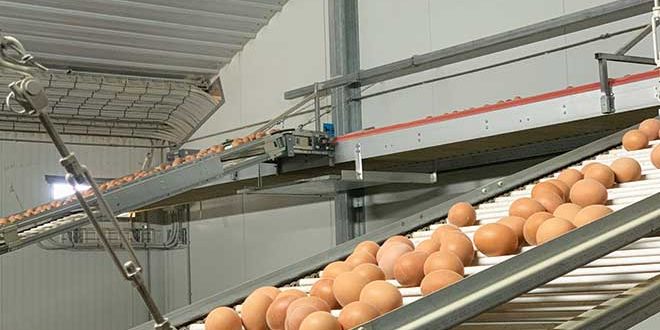 660px-1.-Australian-egg-production-facility-NSW biosecurity