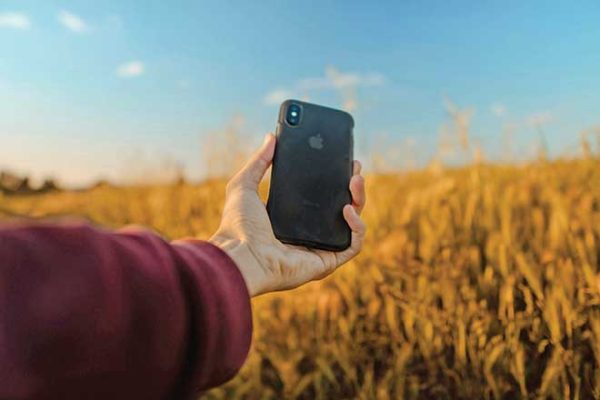 660px-1.-pexels-hazardos-2125418 networks